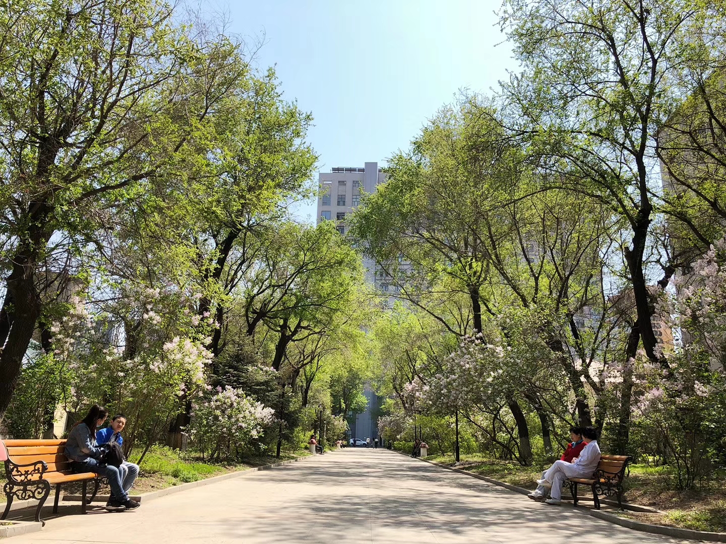 環境展示